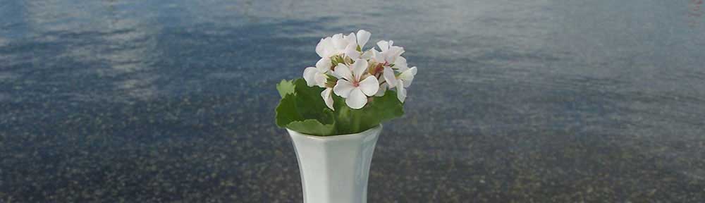 flower-on-table-by-the-sea