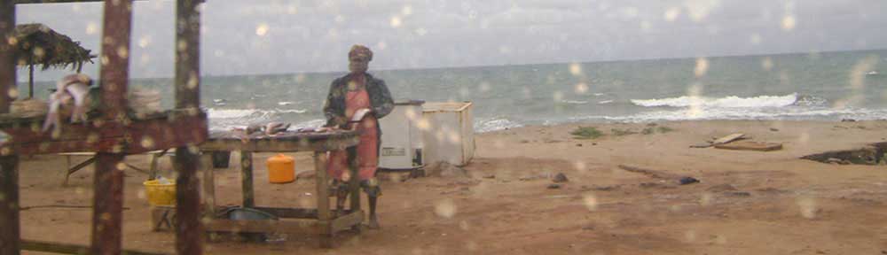 woman-seeling-fish-ghana